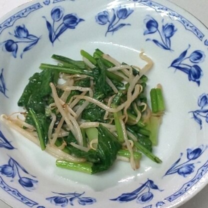 ともとまと61さん☺️
夕飯用に、いただいた小松菜でもやしと炒めました☘️いただくの楽しみです♥️
レポ、ありがとうございます(*^ーﾟ)
